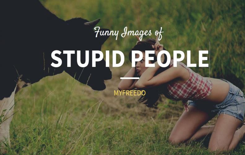 25 Stupid People Pictures Prooving Humans Havent Evolved Yet