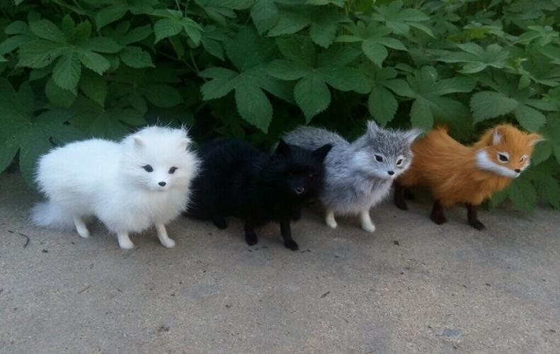 Animals That Change Their Colors