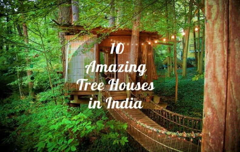 Best Tree House Resorts In India | The List of Top 10