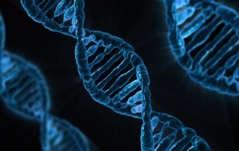What is a Chromosome and Its Functionality in Human Body