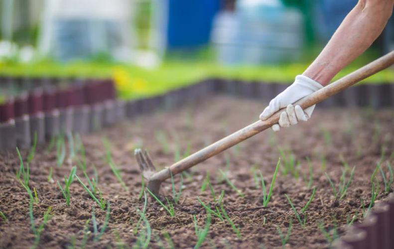 Essential Agricultural Hand Tools With Their Uses