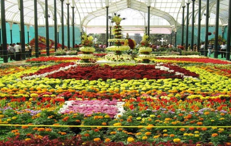 India's Flower Festivals: A Festivity of Culture and Colors
